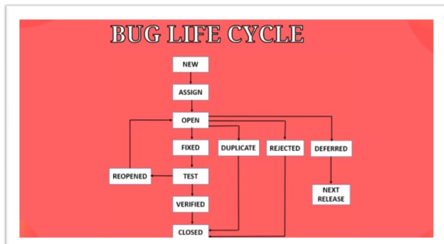 Buglife cycle