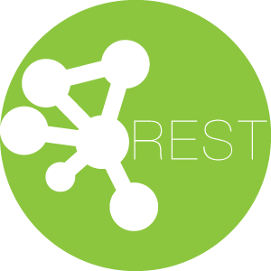 Rest Console API testing tool
