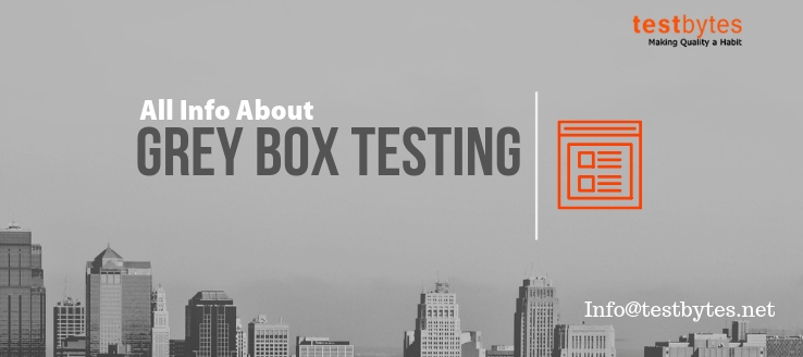 What is gray/ grey box testing? Examples Included!